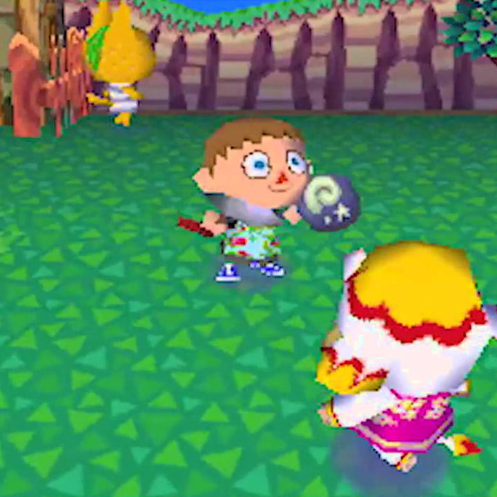 Animal Crossing: Wild World – Juego de DS