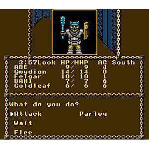 Pool of Radiance - Juego de NES (Retro Fam) - Image 3